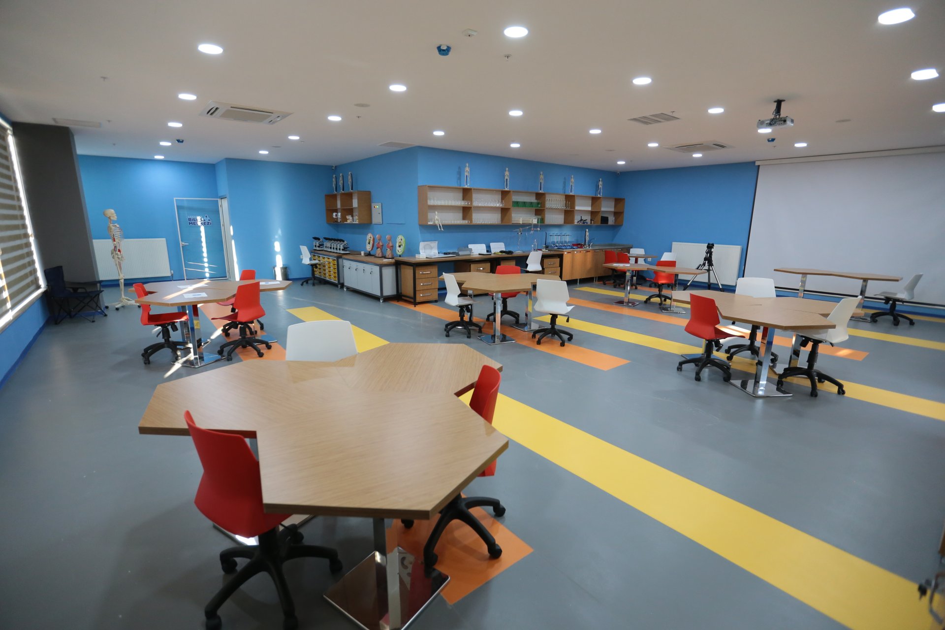 Temel Bilimler Laboratuvarı